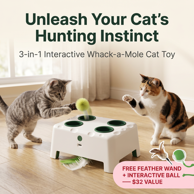 Whiskit Magic House