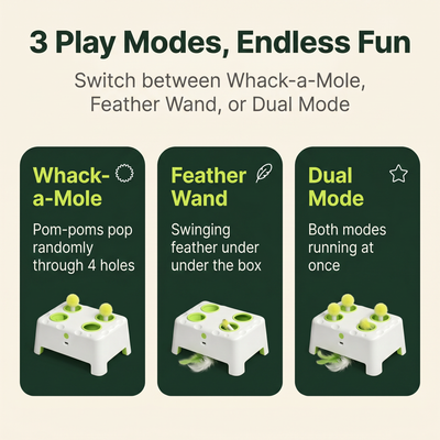 Whiskit Magic House