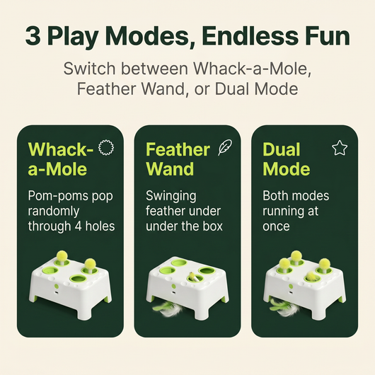 Whiskit Magic House