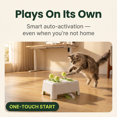 Whiskit Magic House