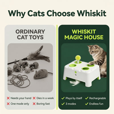 Whiskit Magic House